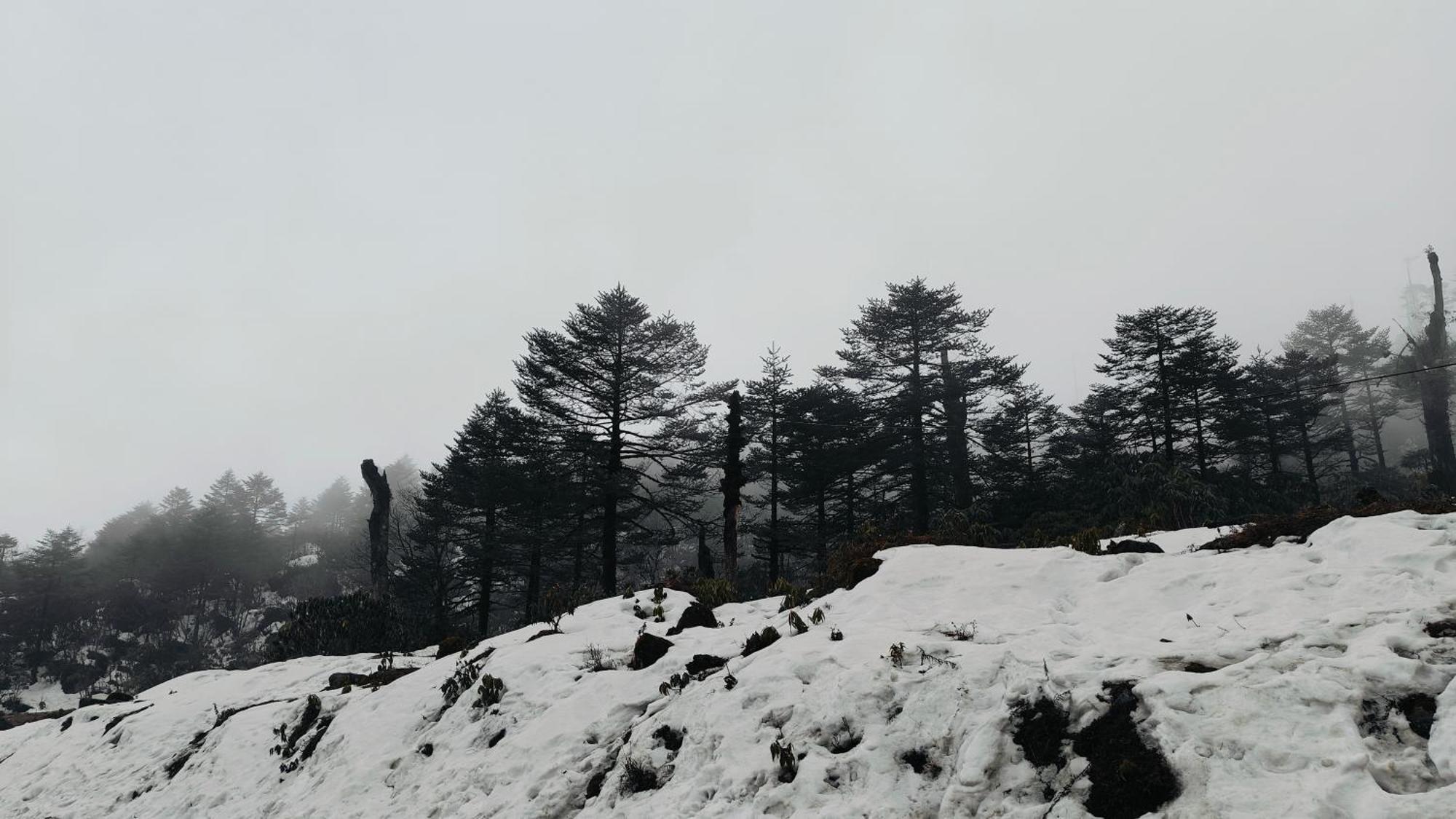 Mount Bayul Shangri-La Resort Lachung Exterior foto
